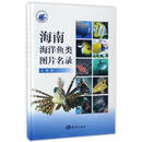 海南海洋鱼类图片名录 王鹏 编 海洋出版社 9787502797409