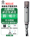 德律风根（TELEFUNKEN）TF11 TF51电子管电容麦克风录音棚直播主播有声书高端大振膜话筒 ELA M251E（电子管高端麦克风）