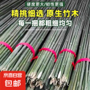 竹竿菜园搭架竹子户外旗杆黄瓜豆角爬藤菜架竹杆支架豇豆搭架杆 10根【精品竹竿】 2厘米粗2米长