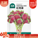北蔬红苋菜种子种苗圆叶汉菜种子四季蔬菜种籽 北蔬红苋菜种子4000粒