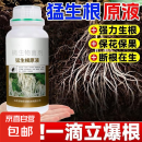 猛生根原液强力生根壮苗移栽插果蔬花卉绿植促根微生物壮根肥 猛生根原液500g*1瓶