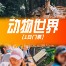 【特惠】广州长隆野生动物世界门票/长隆国际大马戏/欢乐世界/飞鸟乐园可选周边游 广州长隆野生动物世界【1日门票】 特定日 成人票（1.5米及以上）