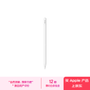 Apple/苹果 Pencil(USB-C)磁吸触控笔手写笔苹果笔电容笔适用于新iPad mini/Pro (M4)/Air (M2)/iPad10