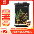 画法几何鱼缸造景 小型鱼缸米家智能鱼缸专用蕨类沉木造景套餐