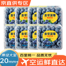 田拾记云南蓝莓【空运-多地次日达】花香蓝莓超大果新鲜水果送礼 精选果【单果16mm+】 125g*4盒【蕞划算】|净100g
