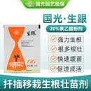 国光生跟20%萘乙酸生根粉强力植物树木大树扦插发根移栽生根剂液农药 5g*500袋/箱