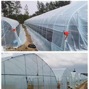 蔬菜温室大棚骨架全套鸡棚羊棚牛棚猪棚半坡式大棚 镀锌管圆管 6米宽30米长高配送膜送卷膜机