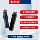 AI录音笔H1 Pro语音转文字专业高清降噪录音器AI会议转写 录音笔H1Pro 灰色 32GB 官方标配