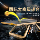 双鱼ITTF认证乒乓球台室内标准尺寸WTT大赛级乒乓球桌展梦3