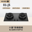 方太Fotile/ 01-J5商用燃气灶煤气灶天然气嵌入式厨房双灶台 01-J5黑色5.2kW 天然气