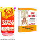 腰肌解剖学 缓解疼痛的腰肌保护与修复练习(人邮体育出品)