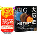 DK大历史 DK BIG大历史 从宇宙大爆炸到我们人类的未来 138亿年的非凡旅程 2023年新版 大卫克里斯蒂安著 中信出版社