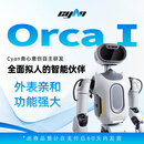 青心意创 具身智能人形机器人Orca I 旗舰版 拟人直膝 多模态交互 支持二次开发 提供Demo