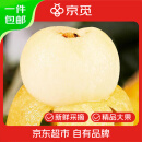 京觅苏州东山白玉枇杷 精品大果 净重4.5斤 单果25g+ 礼盒 源头直发