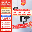 神牛（Godox）补光灯sl200biw双色温摄影常亮灯直播补光灯视频直播补光灯直播人像拍照美颜柔光灯影视灯 SL200BI单灯 官方标配