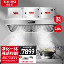 特睿思（TERUISI）商用油烟净化器一体机大型酒店餐饮厨房大吸力低空排放净化器抽油烟机排烟机
