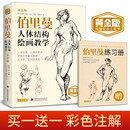 黄金版《伯里曼》人体结构绘画教学人物速写入门基础绘画临摹书籍透视技法自学头像美术艺术手绘教材全套正版