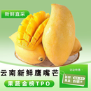 闽农语果鹰嘴芒芒果【新鲜现摘】当季时令水果青皮芒果热带源头直采鹰嘴芒 【单果250g+】 5斤 | 精选划算 | 净重4.5斤