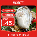鲜京采【活鲜】生蚝净重5斤 3XL 13-18只装 源头直发