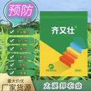 齐又壮预防生姜苗期干尖黄叶,扎小辫,姜瘟,一包打一喷雾器 齐又壮生姜20包喷雾器