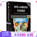 奈特人体解剖学彩色图谱 第八版 第8版 人民卫生出版社旗舰店翻译新版临床医学外科学教材书局部系统解刨学书籍19全身正常医学实用动态局解全彩图谱2023
