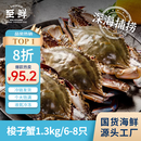 至鲜 梭子蟹2.6斤/6-8只整只当季液氮冷冻梭子蟹3-5两/只吕四黄海海鲜螃蟹新鲜