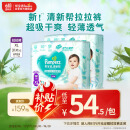 帮宝适清新帮拉拉裤XL码62片 尿裤尿不湿 夏季超薄透气干爽