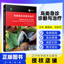 【出版社直发】鸟类急诊诊断与治疗 鸟类急诊急救指南 鸟医生与鸟主人的参考书 辽宁科学技术出版社