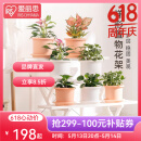 爱丽思（IRIS）花架塑料露台台阶花盆架子园艺用品阳台种菜盆支架花架落地式 WS900白三层宽90*高67*进深75cm