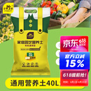 史丹利（STANLEY）营养土40L大包装营养土养花专用通用型花土种菜种花土壤
