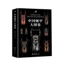 中国锹甲大图鉴 典藏精装版 中国昆虫 詹志鸿 重庆大学出版社