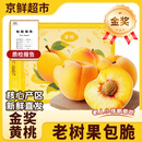 秦悦仙果鲜山东蒙阴黄桃【已通过质检】黄金蜜毛桃脆甜油桃子礼盒端午节送礼 【品质毛桃5斤】单果120g+净4.5