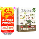 中国茶入门图鉴  从喝茶到懂茶的中国茶文化手册 母亲节 母亲节礼物