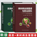 【2册】蔬菜病虫害图谱与防治百科 果树病虫害图谱与防治 蔬菜种植蔬菜病害防治蔬菜诊治图谱 苹果梨树猕猴桃果树打药水果病虫害 蔬菜病虫害图谱与防治百科+果树病虫害图谱与防治