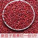 【新红豆】新货红豆杂粮长粒赤豆红豆薏米粥农家自产红小豆1-2斤 红豆:1000克