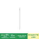 Apple/苹果 Pencil(USB-C)磁吸触控笔手写笔苹果笔电容笔适用于新iPad mini/Pro (M4)/Air (M2)/iPad10