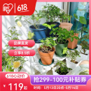 爱丽思（IRIS）花架塑料露台台阶花盆架子园艺用品阳台种菜盆支架花架落地式 FS760W白三层宽75*高60*进深54cm
