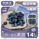 京鲜生 国产蓝莓 6盒14mm+装 125g/盒 生鲜水果 源头直发 包邮