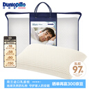 邓禄普（Dunlopillo）男人枕 荷兰进口特拉雷Talalay天然乳胶 物理发泡工艺