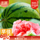 北蔬 西瓜种子种籽苗麒麟8424冰糖甜西瓜南北方春季 8424西瓜种子60粒