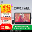 XPPen Artist Pro19(4K)数位屏 手绘屏 电脑绘画板专业绘画数位板 连接笔记本手绘板AP19手写板电子画板 Artist Pro19【4K超清】