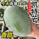 攀枝花凯特芒果新鲜水果芒果当季水果芒果青皮大芒果甜产地直发 凯特芒果 超大果（单果≥500g）9斤