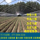种植蔬菜拱棚育苗花卉保温大棚骨架镀锌钢管连体连栋暖棚水产养殖 8米宽30米长加固通风版