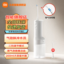 小米（MI） 米家电动冲牙器2 家用洗牙器美牙仪 牙齿冲洗器清洁器 口腔护理  3档模式 专业微气泡喷嘴长续航 米家电动冲牙器2【升级款】