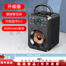 佑庭蓝牙音箱无线大音量k歌广场舞小音响户外便携式家用铺子专用 科技黑 标准版