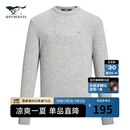 七匹狼【商场同款】男士毛衫纯羊毛保暖舒适品质轻商务休闲打底套头衫 009(蓝灰) 2XL 180/96A