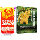 手机摄影从入门到精通 阅读狂欢节