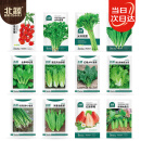 北蔬 蔬菜种子苗生菜菠菜小香葱芹菜阳台四季菜种籽 12种蔬菜种子套餐