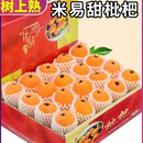 攸竹攀枝花米易甜枇杷水果时令水果枇杷果大五星孕妇生鲜水果 2斤普通装 新鲜直发