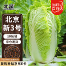 北蔬 北京新三号白菜种子种苗秋季种蔬菜种籽 北京新三号种子10g